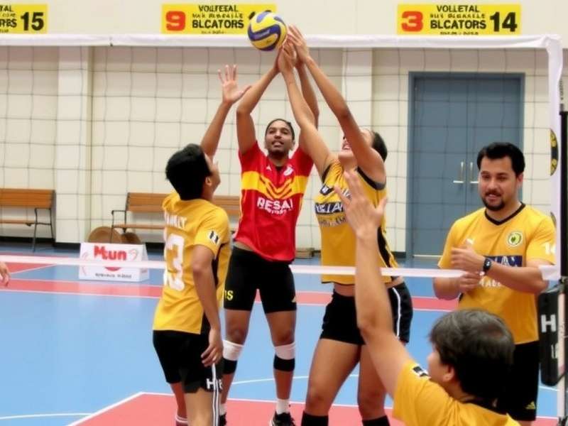 Indian gamers share their experiences Player Reviews of Bangalore Volley Blasters